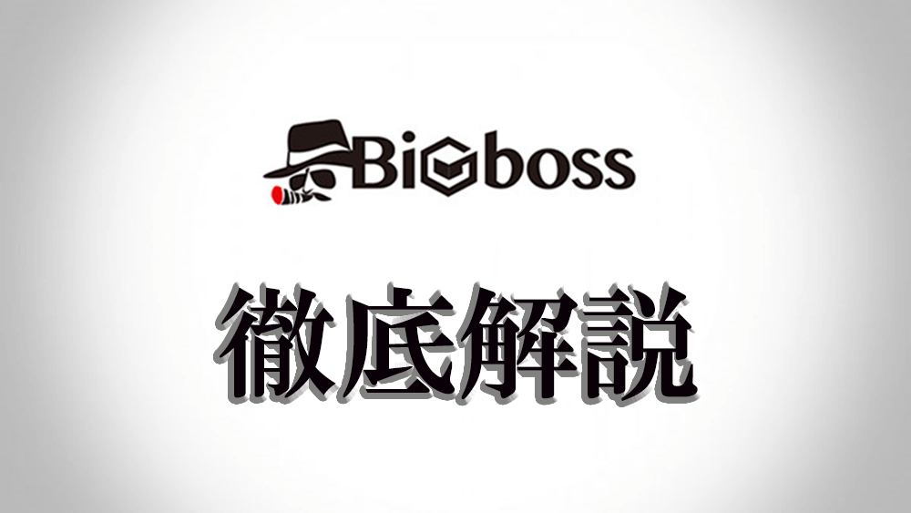 Bigboss ビッグボス のfx評判ってどう 特典ボーナスとハイレバの詳細とは 海外fx15社ランキング 2021年 絶対おすすめ業者